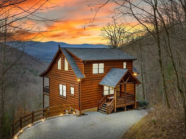 161 Cub Trail, Cherry Log, GA 30522