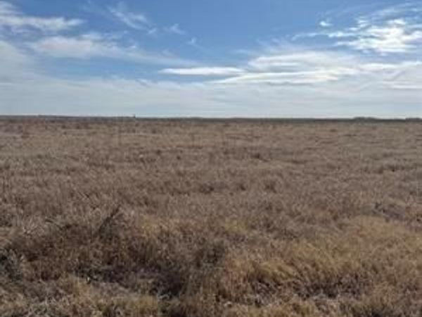 tbd CR 168 , Haskell, TX 75921