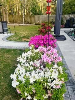 2226 Sandtuck Circle Photo 49