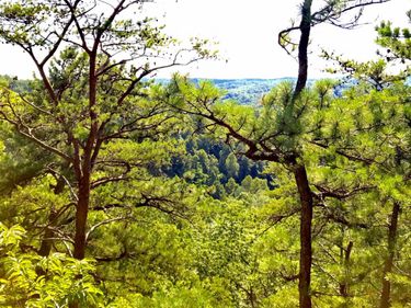 0 S Fork Road, Stanton, KY 40380