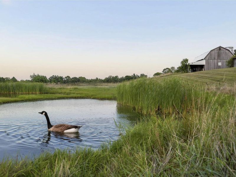 60753 Curry Road, McArthur, OH 45651 Photo 46