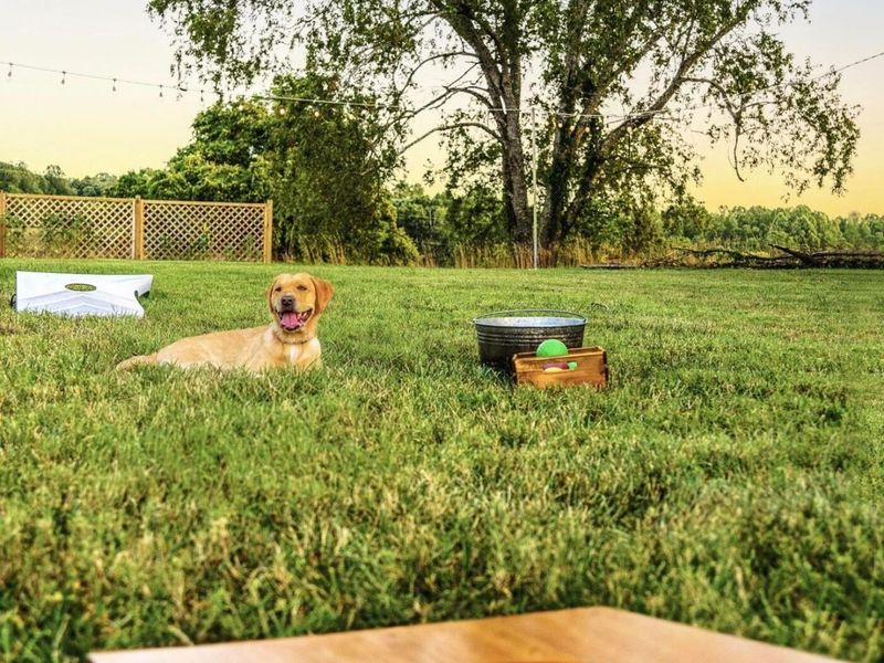 60753 Curry Road, McArthur, OH 45651 Photo 47