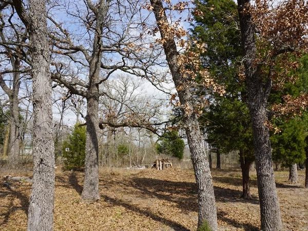 1698 Doc Holiday Dr, Log Cabin, TX 75148