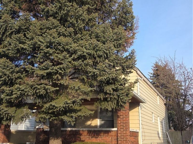 3803 E 50th Street, Unit DOWN, Cleveland, OH 44105 Photo 3