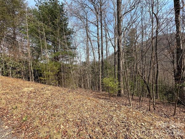 TBD Wood Stone Drive , Hendersonville, NC 28792