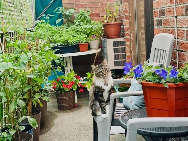 6607 242nd Street , Unit 13D, Little Neck, NY 11362