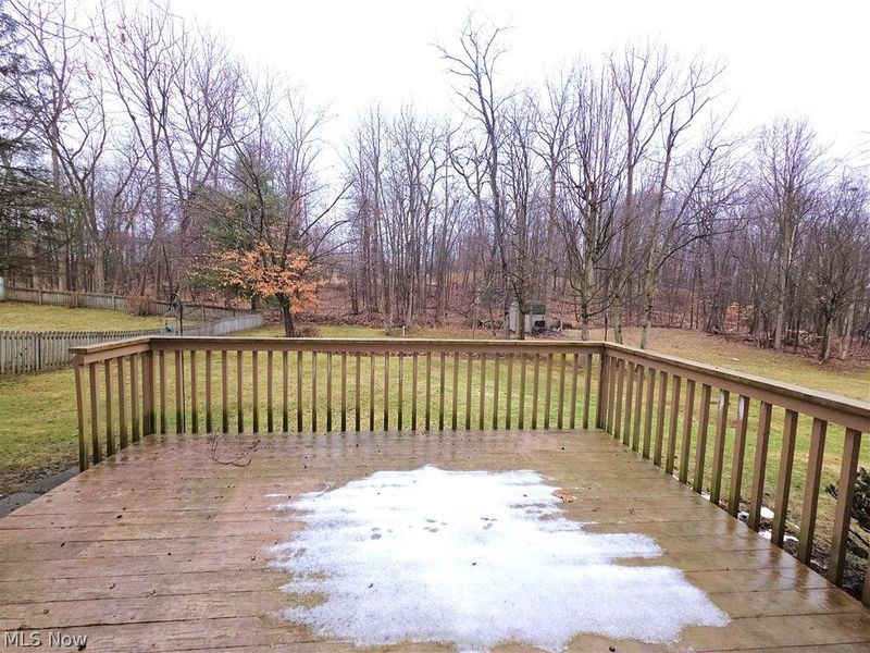 10522 Belleau Drive, Twinsburg, OH 44087 Photo 38