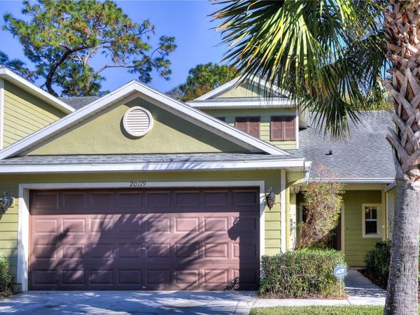 20119 WEEPING LAUREL PLACE , TAMPA, FL 33647