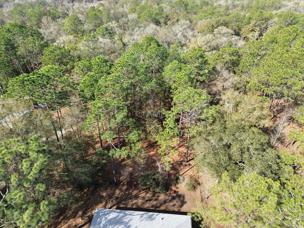 9570 SW 215th Court Road , Dunnellon, FL 34431 Photo