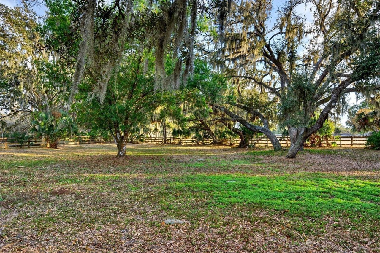 7088 Saddle Creek Lane, Sarasota, FL 34241 Photo