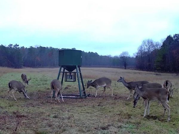 6536 Hudson Creek , Watson, OK 74957