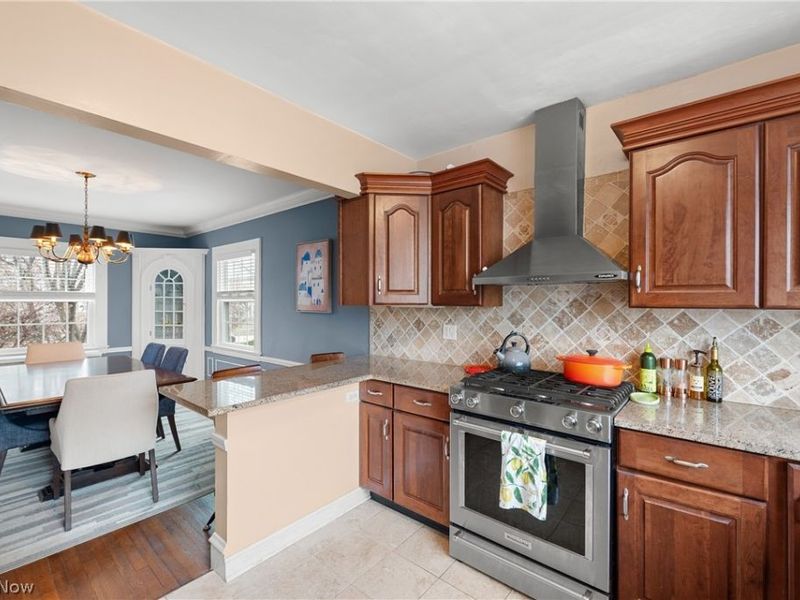 1075 Homewood Drive, Lakewood, OH 44107 Photo 19