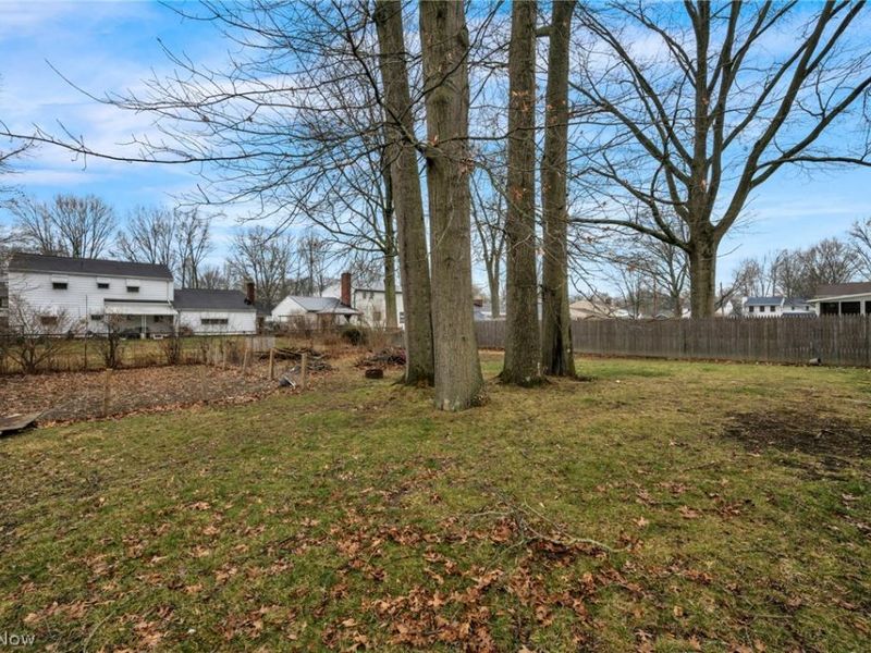 337 University Avenue, Elyria, OH 44035 Photo 6