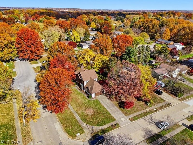 951 S Azalea Boulevard, Barberton, OH 44203 Photo 2