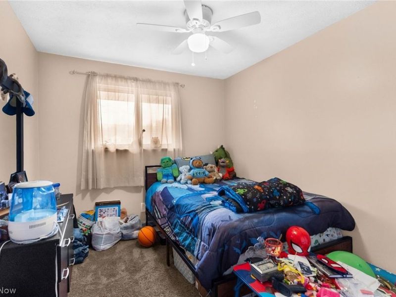 5950 Mount Everett Road, Hubbard, OH 44425 Photo 17