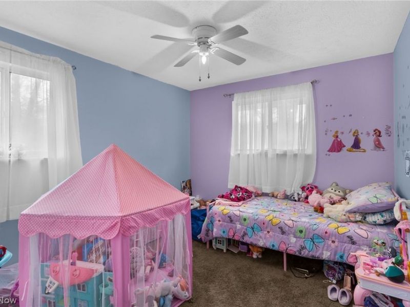 5950 Mount Everett Road, Hubbard, OH 44425 Photo 18