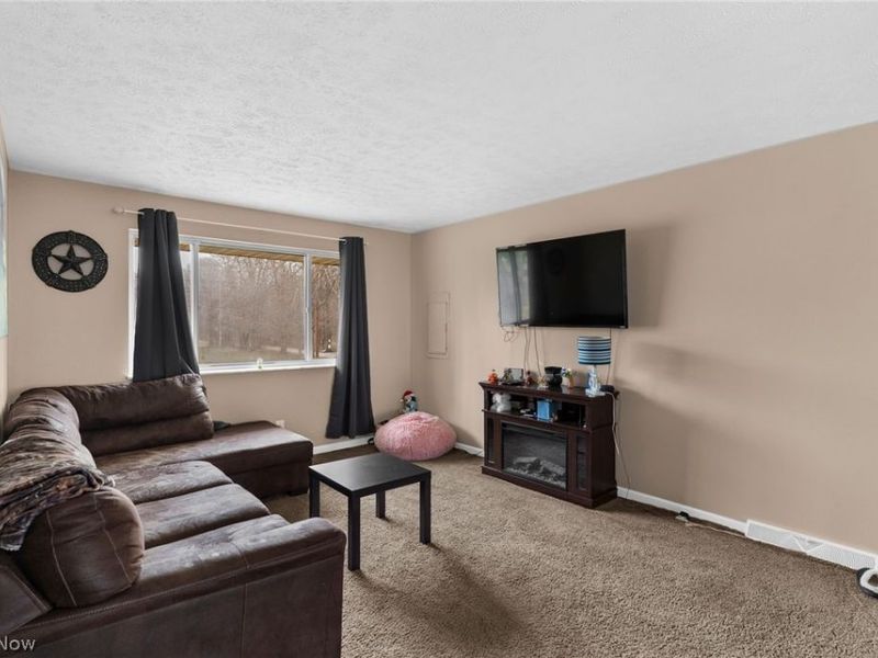 5950 Mount Everett Road, Hubbard, OH 44425 Photo 2