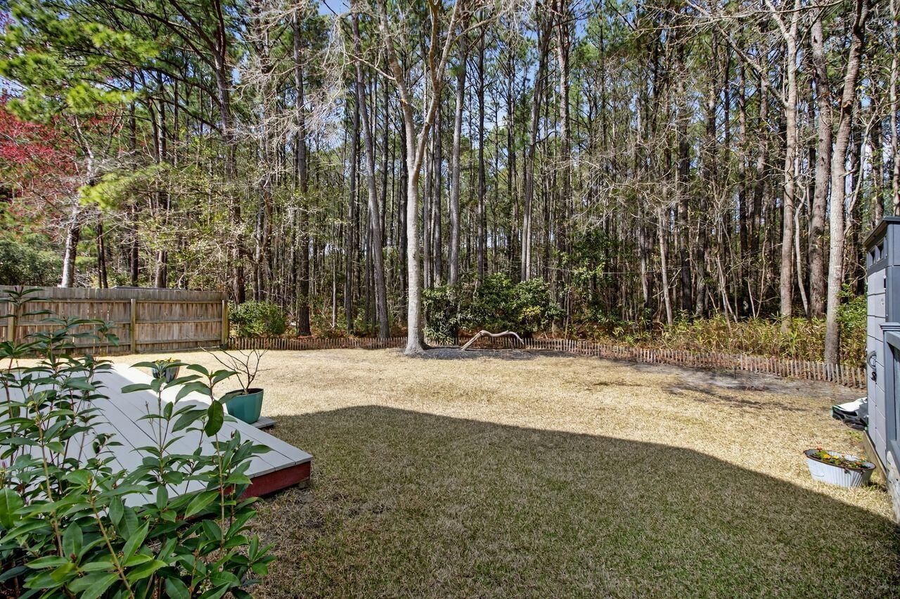 318 Cypress Walk Way Photo 37