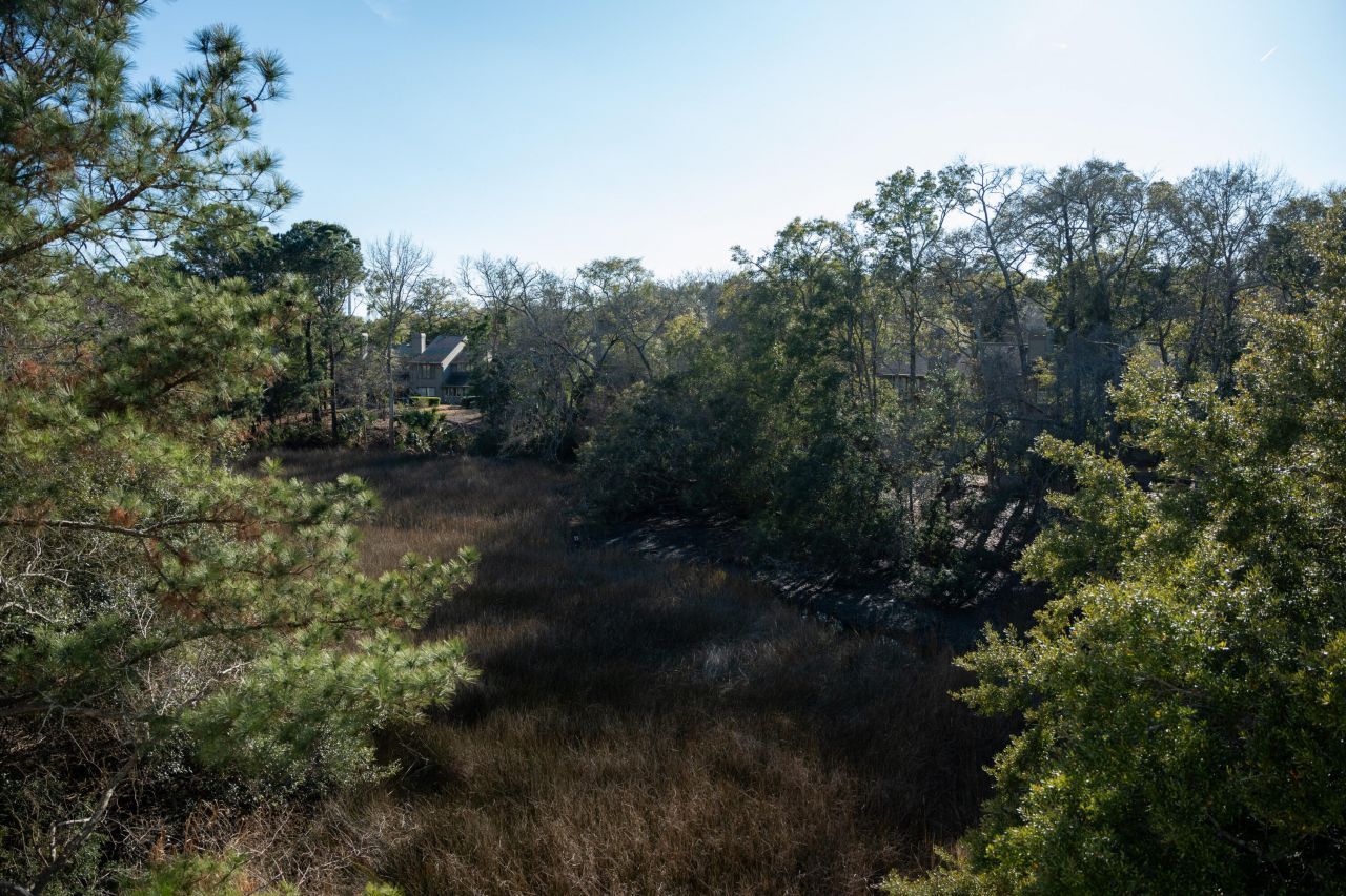 115 Wappoo Landing Circle Photo 38