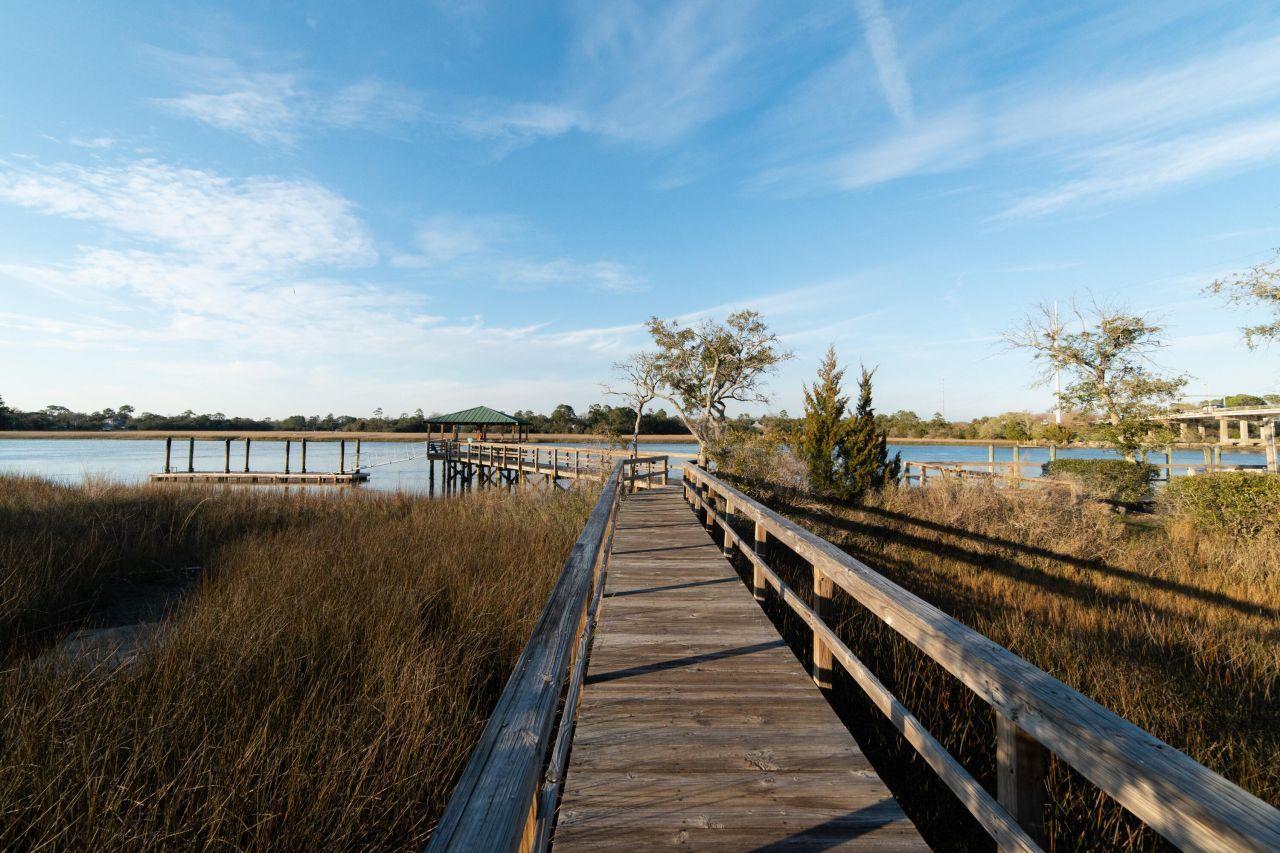 115 Wappoo Landing Circle Photo 47