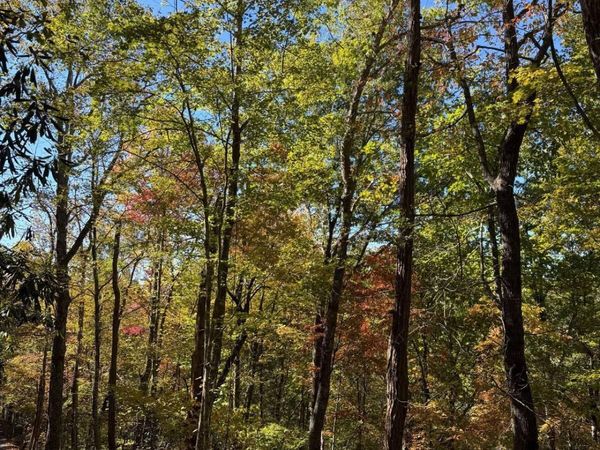 0 Ownby Circle, Gatlinburg, TN 37738