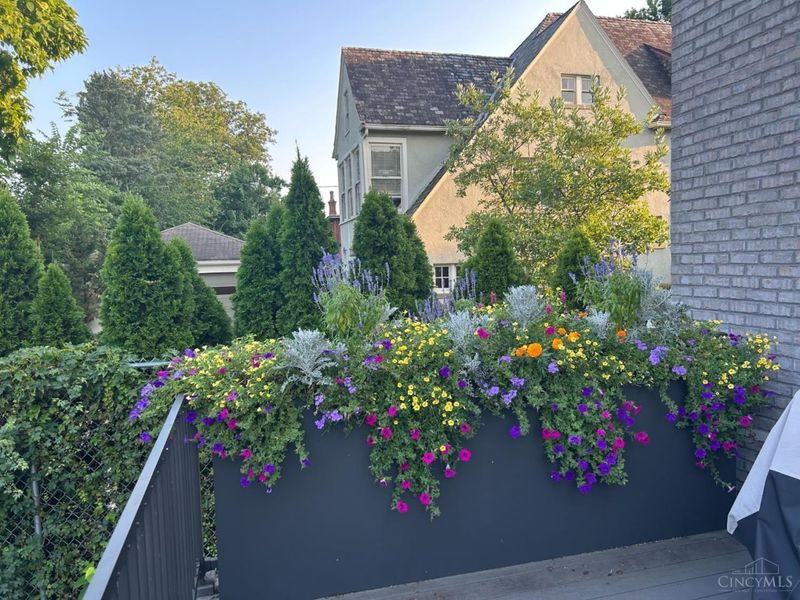 2734 Cleinview Avenue, Cincinnati, OH 45206 Photo 14