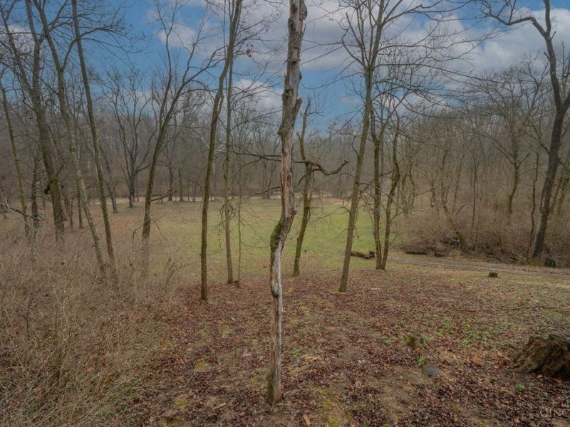 11769 Cloverlick Road, Clark Twp, OH 45106 Photo 41