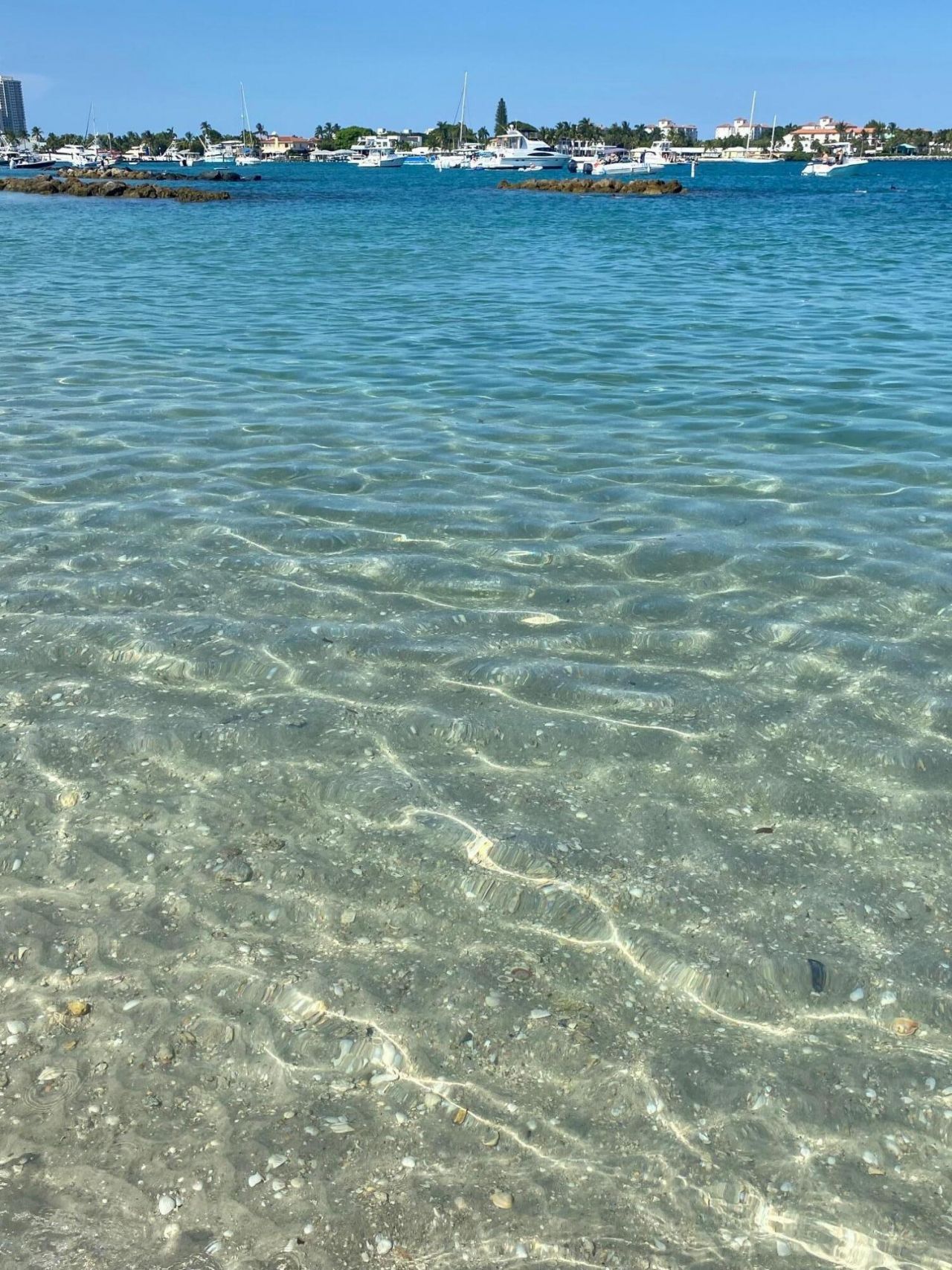 801 Hummingbird Way, Unit 201, North Palm Beach, FL 33408 Photo