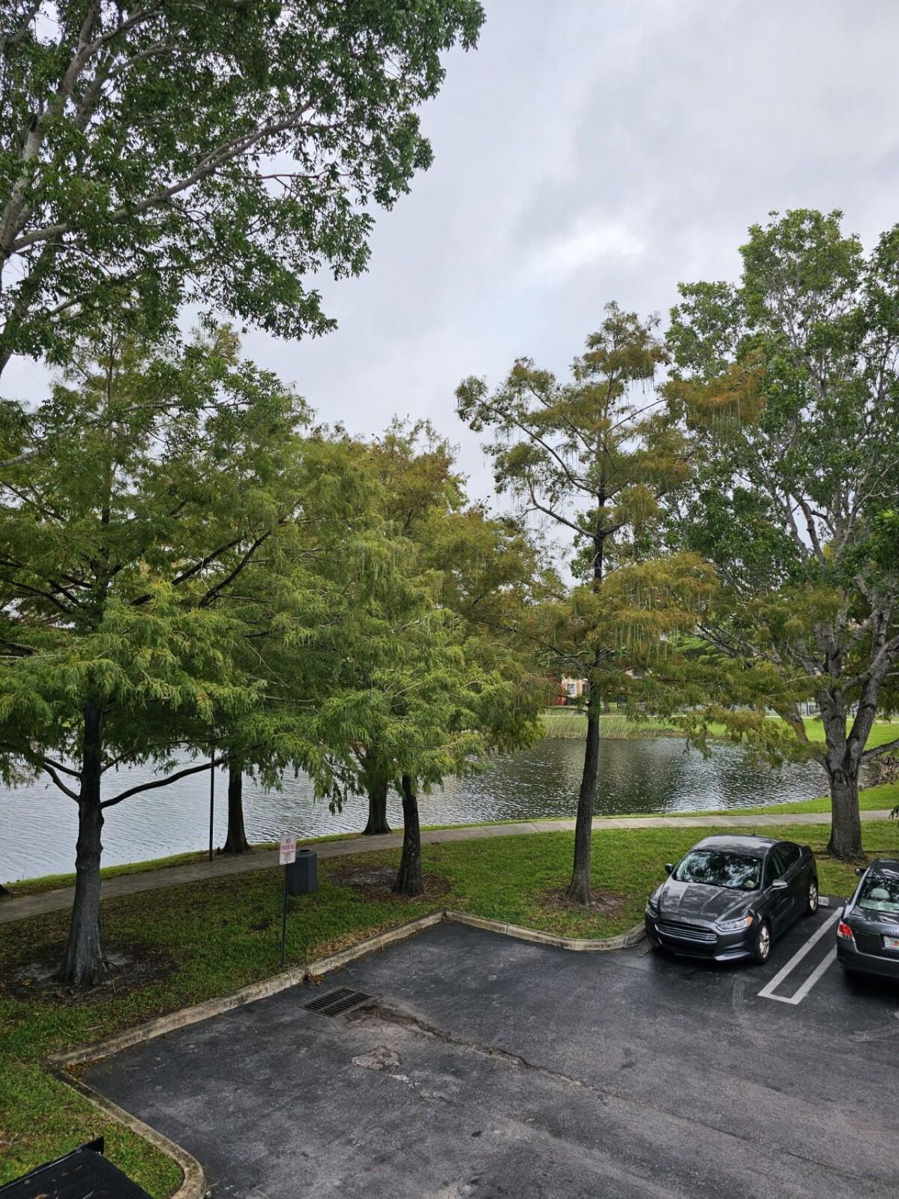 4187 N Haverhill Road, Unit 517, West Palm Beach, FL 33417 Photo