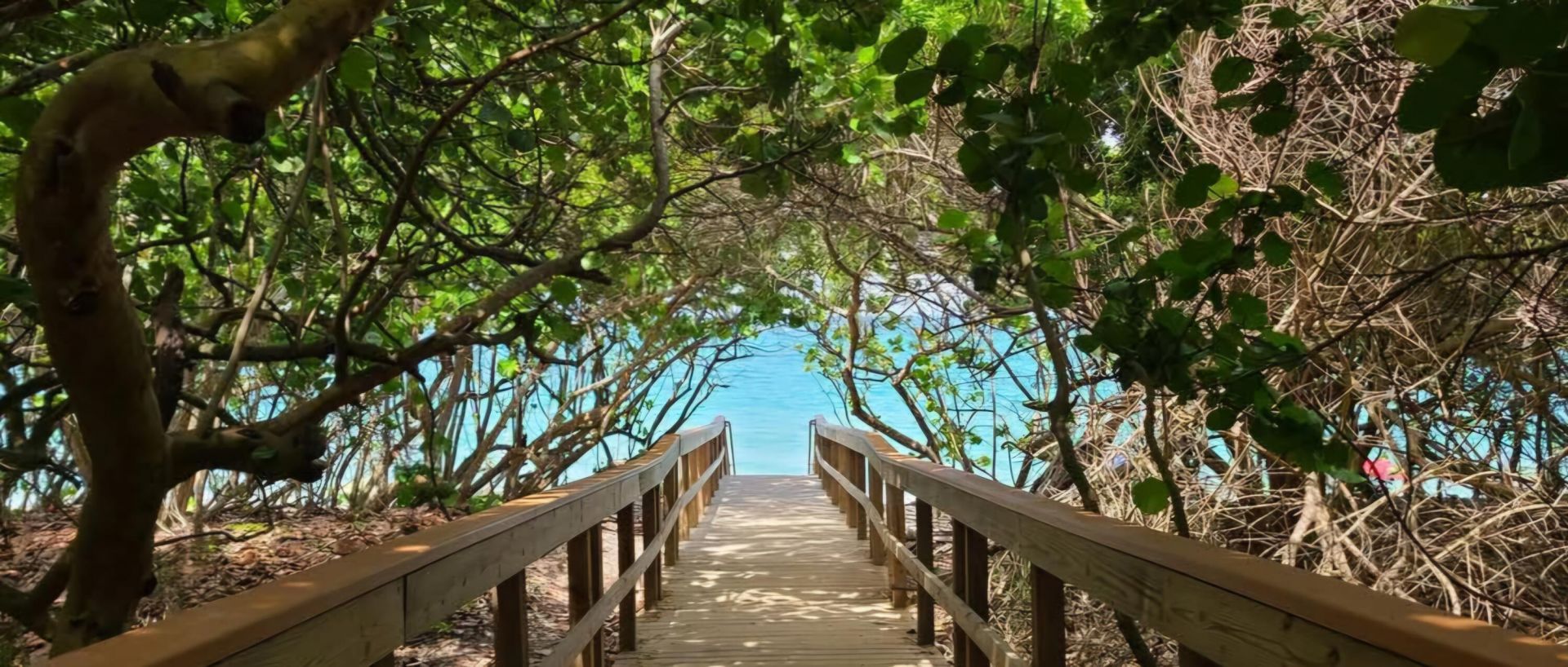 401 Ocean Bluffs Boulevard, Unit 104, Jupiter, FL 33477 Photo