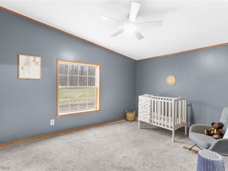 1367 Housel Craft Road, Bristolville, OH 44402 Photo 3