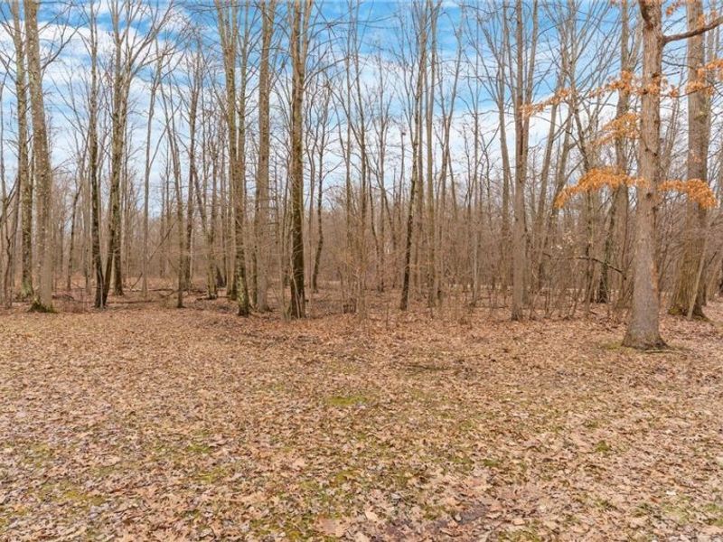 1367 Housel Craft Road, Bristolville, OH 44402 Photo 30