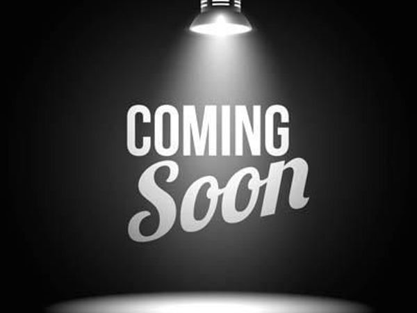 1205 HAWTHORNE STREET, SHADY SIDE, MD 20764