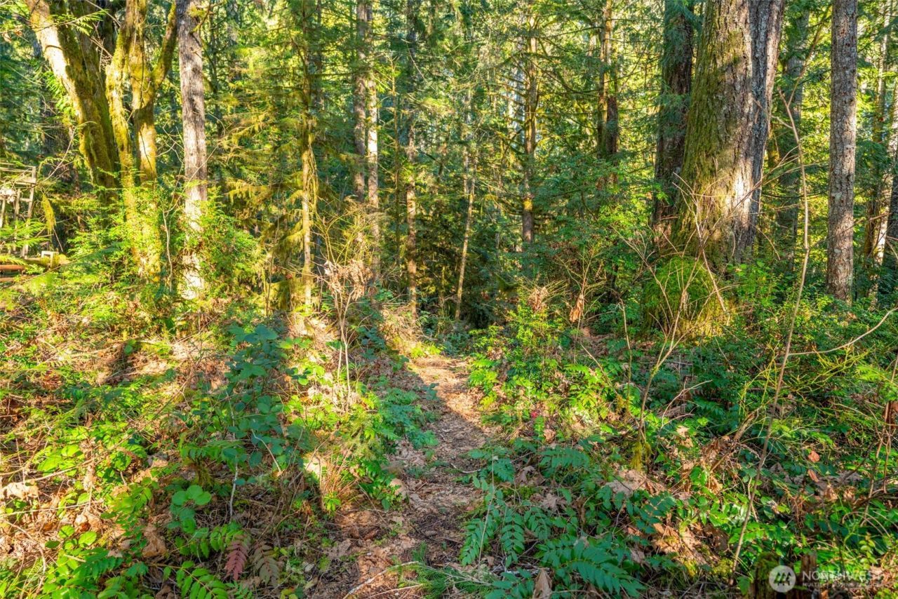 450 Mt Jupiter Pl , Hoodsport, WA 98548