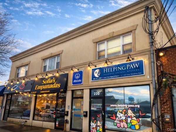 220-226 East Meadow Avenue , East Meadow, NY 11554