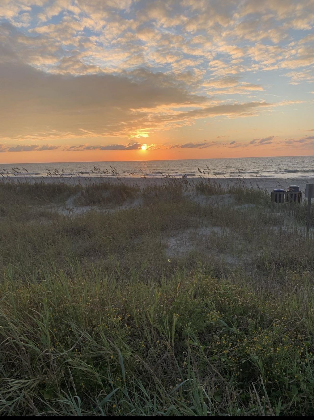 2750 Matriarch Ct. Photo 59