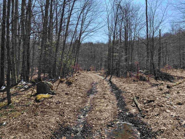 Lot 1 Marshall Road, Duxbury, VT 05676
