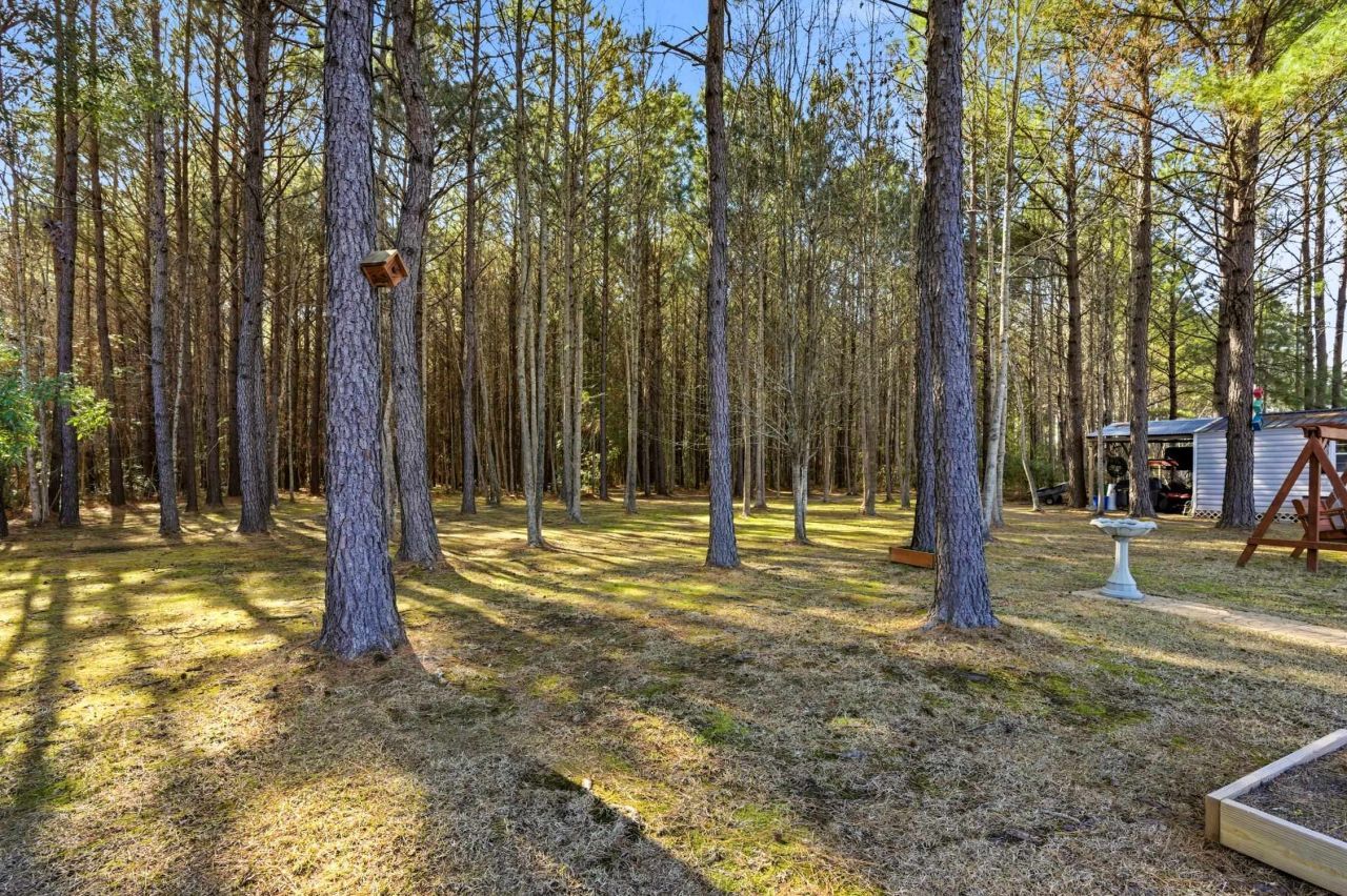 263 Morris Rd. Photo 30