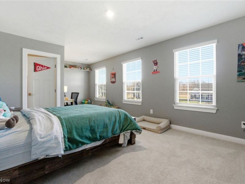 12843 Caribou Court, Columbia Station, OH 44028 Photo 22