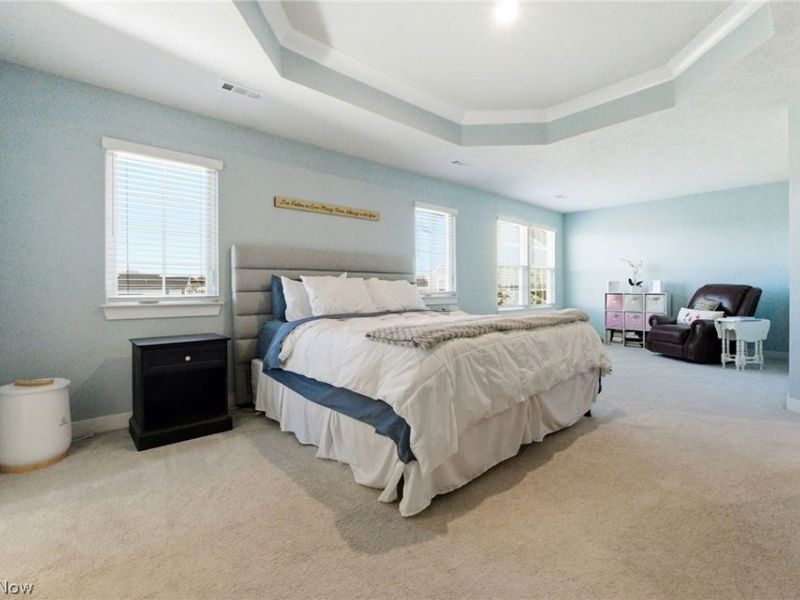 12843 Caribou Court, Columbia Station, OH 44028 Photo 30