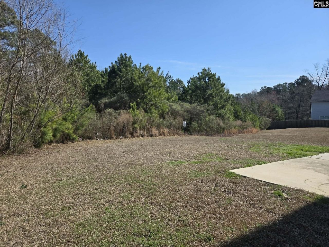 355 Spring Meadow Road  Photo 42