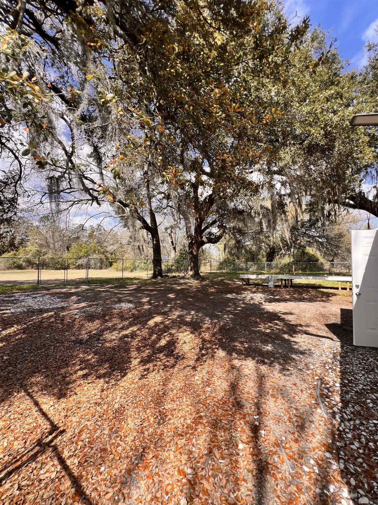 603 Church St. Photo 20