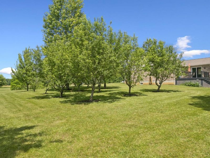 5246 Smokey Road, Jackson Twp, OH 45176 Photo 66