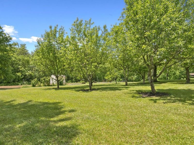 5246 Smokey Road, Jackson Twp, OH 45176 Photo 67