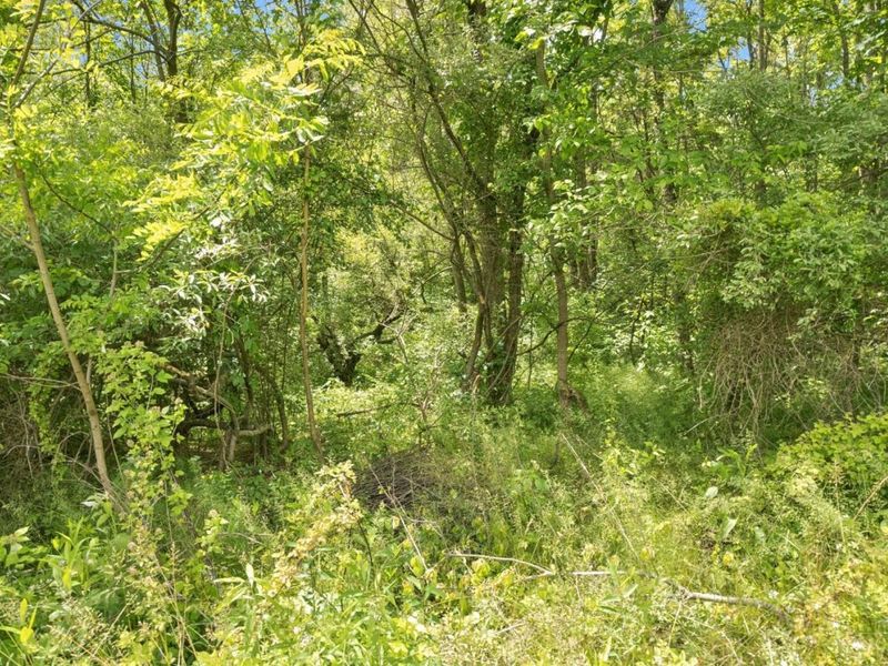 5246 Smokey Road, Jackson Twp, OH 45176 Photo 70