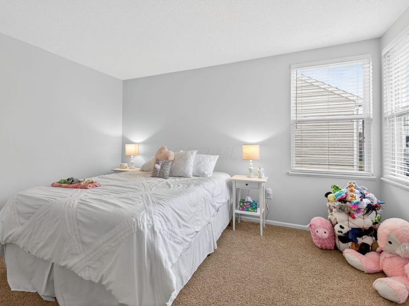 385 Rocky Springs Drive, Blacklick, OH 43004 Photo 59