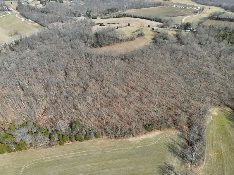 2195 Pumpkin Ridge Road , West Union, OH 45693 Photo 11