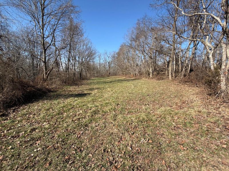 2195 Pumpkin Ridge Road , West Union, OH 45693 Photo 19