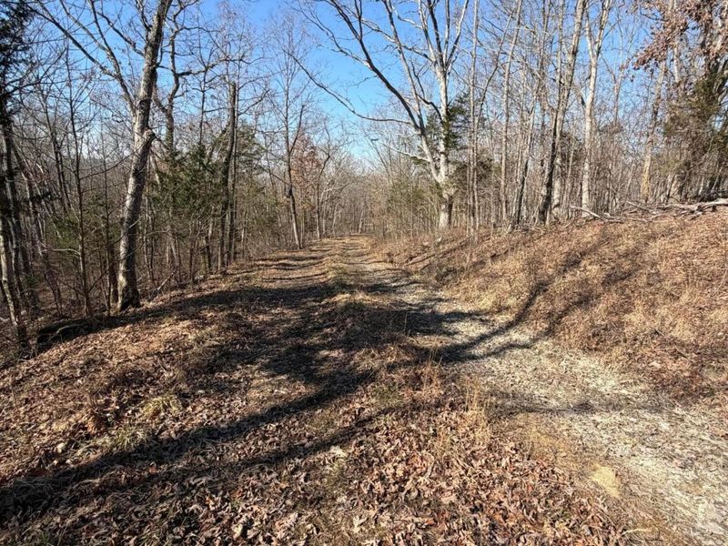 2195 Pumpkin Ridge Road , West Union, OH 45693 Photo 20