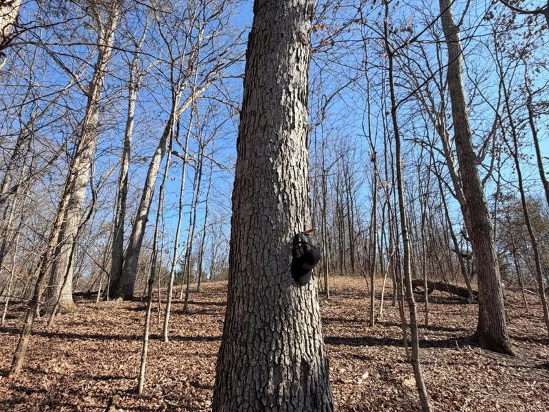 2195 Pumpkin Ridge Road , West Union, OH 45693 Photo 21